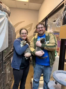Kiwi and blue kittens adopted.webp