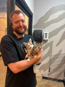 Maple tinkerbell 5 2026 adopted