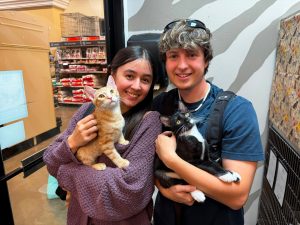 Cayenne Pepper adopted kitties