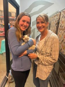 shelly-siamese-kitten-adopted