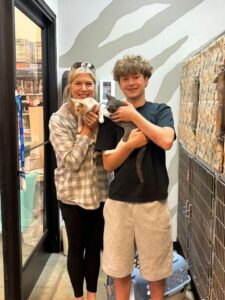 Two newly adopted kittens, one light orange tabby and one grey-and-white, held lovingly inside a rescue center room.